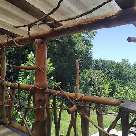 Chales Vista Do Paraiso Canela Εξωτερικό φωτογραφία